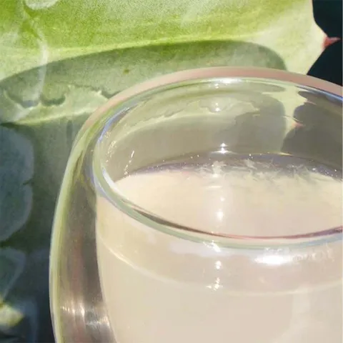 Image mise en avant de NATURALOE