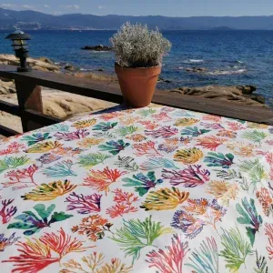 Image 1 de FLEUR DE SOLEIL